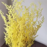 PPL42 Lover Grass Preserved Lover's Grass Bunch for Wedding Office & Party Decoration for Household Flower Arranging - Image 5