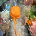 PPF02 Artichoke the Hot Selling Flower Dried Artichoke for Wedding/home Decoration for Home Decor Luxury - Image 6