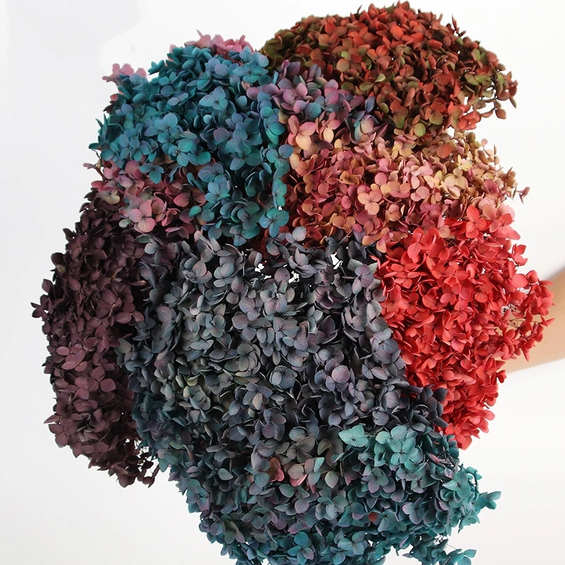 H77cee62a40f14a0784a887f3961216dbt.webp PHA01 Anna Hydrangea 15 Color Natural Plant Dried Flower Preservation Hydrangea Gradient Color Mixed Color Series - Image 1