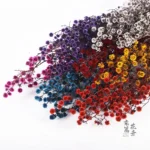 PPS20 Woolen Ball Preserved Stirlingia Flower Dried Fluffy Ball Flower Stirlingia Latifolia for Home Decoration - Image 3