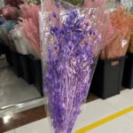 PPL51 New Grass Bamboo  INS Style Dried Oat Yellow Natural Preserved Dried Preserved Oats Flowers for Wedding Decoration - Image 6