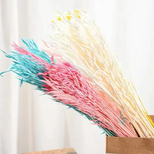 PPS15 's Most Popular Flower Dried Oat Flowers for Wedding/Home Decor Preserved Plants for Bouquet