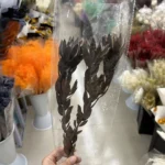 PPF16 Leucadendron Factory Wholesale king Protea Dried Flowers Natural for Wedding Decoration - Image 5