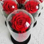 Eternal Rose Flowers Morthers Day Everlasting Preserved Flower Forever Roses in Glass Dome