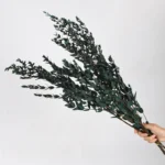 PPL21 E.tereticornis Dried Preserved Eucalyptus Teardrop Leaves Branches for Vase Filler BathroomWedding Arrangement Decor - Image 6