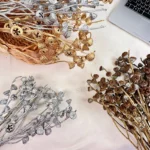 PPS12 Eucalyptus Seeds High Quality Natural Dried Flowers Fruits for Home Decoration Gold Silver Color for Valentine's Day China - Image 2