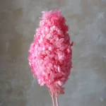 PHA02 Wood Hydrangea 17 Color Solid/mixed Color Gradient Natural Dried Preserved Hydrangea for Decorative Flower Arrangement - Image 2