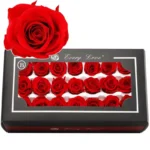 PRB12 Rose 2-3CM 44 Colors Decoration Celebration Gift Immortal Flowers Eternal Flower Preserved Roses