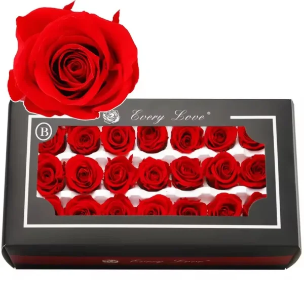 PRB12 Rose 2-3CM 44 Colors Decoration Celebration Gift Immortal Flowers Eternal Flower Preserved Roses