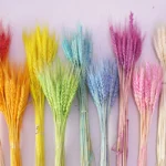 PPS02 Natural Preserved Dry Wheat Vase for Home Decoration Hot Factory Arrangement for Christmas Valentine's Day Graduation