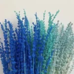 PPF15 Lavender Wholesale Decorative Preserved Eternal Lavender Bundles for Furniture Wedding Decoration and Flower Arrangement - Image 3