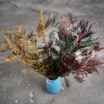 PPL60 Silver Birch 'Bosi' Natural Leaf for Festival Decoration High Quality Private Label Graduation Christmas Thanksgiving