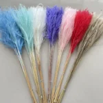 PPL47 Romantic Preserved Dried Flowers Miscanthus Saccharifleus Asparagus Virgatus for Home Wedding Decorations Mother's Day