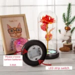 Hot Selling LED Gift Glass Domes Flowers for Home Decoration with Artificial Eternal Flowers for Christmas and Easter - Image 4