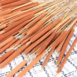 DFS02 Natural Jumbo Latifolia Typha Angustifolia Cattail Flower Spike Dried Cattail for Graduation Christmas Thanksgiving China - Image 6