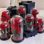 High-grade Gift Boxed Preserved Roses in Glass Dome Creative Gift Ideas Mother's Day San Valentines Day Girlfriend Wife Gift - Image 2