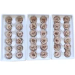 PRB12 Rose 2-3CM 44 Colors Decoration Celebration Gift Immortal Flowers Eternal Flower Preserved Roses - Image 3