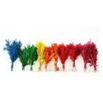 PPL13 Club Moss Decoration Flower Landscape Material Pine Tree Grass Dried Diaphasiastrum Veitchii Leaves Dried Club Moss - Image 3