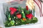2024 Best Selling Preserved Flowers Clear Acrylic Picture Frame Gift for Women Mom - Image 3