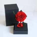 Top Seller Decoration Flower Real Touch  Long Life Eternal Preserved Roses in Acrylic  Box for Valentine Gifts