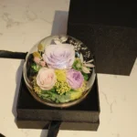 Wholesale Mother's Day Preserved Roses Long Life Lasting Real Flowers in Glass Dome With Gift Box Light Valentine's Day Gifts