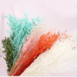 PPL42 Lover Grass Preserved Lover's Grass Bunch for Wedding Office & Party Decoration for Household Flower Arranging - Image 2