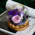Wholesale Mother's Day Preserved Roses Long Life Lasting Real Flowers in Glass Dome With Gift Box Light Valentine's Day Gifts - Image 6