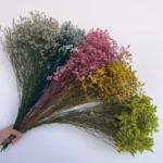 PPF07 Crystal Flower Preserved Flower Gypsophila Babysbreath Dried Baby's Breath Flower Dry Baby's Breath for Wedding Decoration