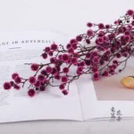 PPS20 Woolen Ball Preserved Stirlingia Flower Dried Fluffy Ball Flower Stirlingia Latifolia for Home Decoration - Image 6
