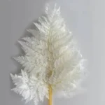 PPL16 Davallia Mariesii Best Selling Popular High Quality Preserved Flowers Plants Dried Alphine Fern Leaf for Home Decoration - Image 5