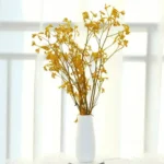 DFL01 Anigozanthos Preserved Natural Kangaroo Paw Flower Factory Price Decorative Flowers for Christmas and Mother's Day - Image 5