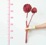 PPF02 Artichoke the Hot Selling Flower Dried Artichoke for Wedding/home Decoration for Home Decor Luxury - Image 3