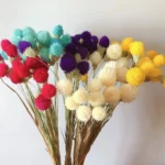 DFS60 Splicing Strawberry Fruit for Valentine's Day Graduation Christmas Thanksgiving Occasions