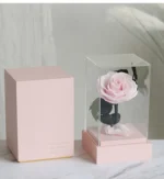 Top Seller Decoration Flower Real Touch  Long Life Eternal Preserved Roses in Acrylic  Box for Valentine Gifts - Image 5