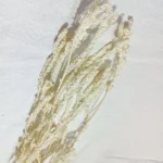 PPL32 Huangye Natural Preserved Flowers Bouquet Making Beautiful Fresh Style Home Decoration Christmas Valentine's Day - Image 3