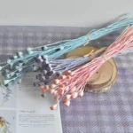 PPS06 Common poppy Seeds 2024 Hot Selling Dried Flower Corn poppy Flower for Home Decoration - Image 2