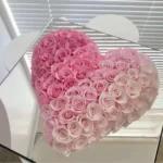 2025 Ins Hot Selling Valentine Mother's Day Gifts Preserved Rose in Acrylic Gift Box for Home/wedding Decoration Flower - Image 2
