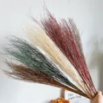 PPL26 Fontanesia Eternal Plants Flower Arrangement Preserved White Snow Willow Branch Willow Tree Branches