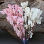 PPL10 Chestnut Leaf Factory Directly Wholesale Preserved Plants Handmade Leaves Materials Dried Flower for Wedding Decoration