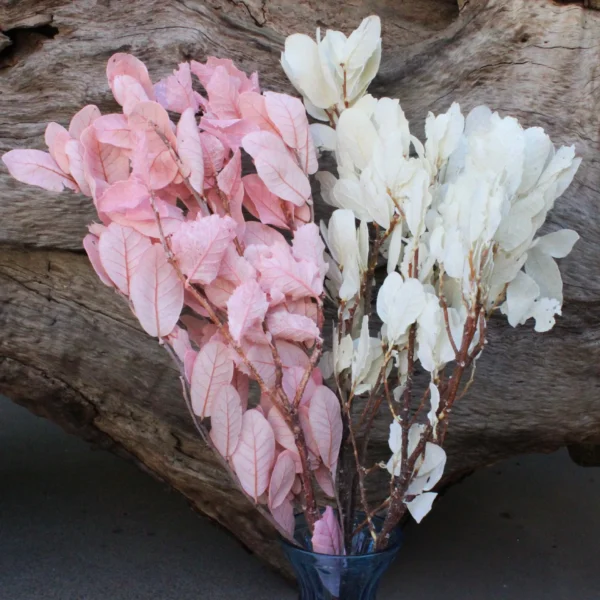 PPL10 Chestnut Leaf Factory Directly Wholesale Preserved Plants Handmade Leaves Materials Dried Flower for Wedding Decoration