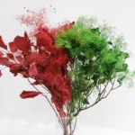 PPL63 Smoke Tree Decorative Dreamy Preserved Plants Flowers& Wreaths Smoke Bush for Wedding Flowers Bouquet - Image 5