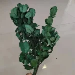 PPL10 Chestnut Leaf Factory Directly Wholesale Preserved Plants Handmade Leaves Materials Dried Flower for Wedding Decoration - Image 6