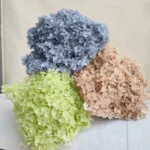 PHA01 Anna Hydrangea 15 Color Natural Plant Dried Flower Preservation Hydrangea Gradient Color Mixed Color Series - Image 6