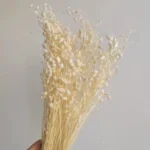 PPF23 Stachys Geobombycis Dried Flowers Handmade Preserved Natural Decorative Flowers and Plants for Wedding Home Decoration - Image 3