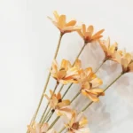 DFF58 Splicing Melon Seed Flower Dried Flower Wholesale Fruit Shell Melon Seeds Handmade Bouquet Flower Arrangement - Image 6