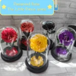 High-grade Gift Boxed Preserved Roses in Glass Dome Creative Gift Ideas Mother's Day San Valentines Day Girlfriend Wife Gift - Image 3