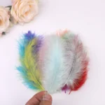 PPP01-Feather 100pcs/bag Assorted Colors 5-8cm Small Goose Fluffy Feathers for DIY Craft - Image 3