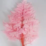 PPL16 Davallia Mariesii Best Selling Popular High Quality Preserved Flowers Plants Dried Alphine Fern Leaf for Home Decoration - Image 6