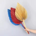 PPL40 Livistona Chinensis Pure Natural Various Forms of Air-dried Top Palm Leaves and Fan Leaves Decorative Flower Arrangements - Image 4