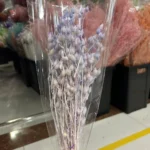 PPL51 New Grass Bamboo  INS Style Dried Oat Yellow Natural Preserved Dried Preserved Oats Flowers for Wedding Decoration - Image 4